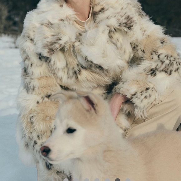 Anthropology, Pilcro Faux Fur Teddy Jacket - Cream and Brown - Picture 12 of 15